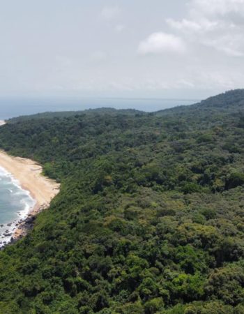 The Warkolor Jungle Lodge is located in Liberia