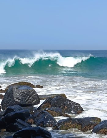 The Warkolor Jungle Lodge is located in Liberia